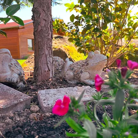 بيت للعطل Haus Ehrenbreitstein لانشتاين